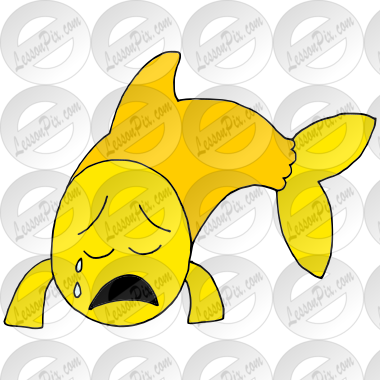 Sad Fish Picture