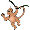 Macaco Picture