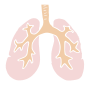 lungs Stencil