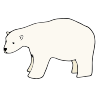 Polar Bear Polar Bear Picture