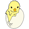 Hatch+refers+to+an+animal+coming+out+of+an+egg. Picture