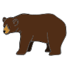 Brown+Bear_+Brown+Bear_+what+do+you+see_ Picture