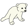 polar bear cub Picture