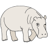 Hippopotamus-bull Picture