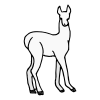 Llama-macho Picture