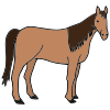 cheval Picture