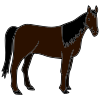 caballo Picture
