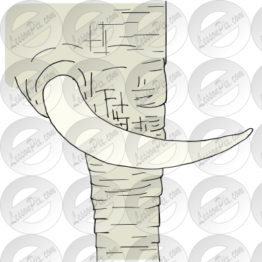 Tusk Picture for Classroom / Therapy Use - Great Tusk Clipart