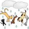 Raining+Cats+and+Dogs Picture