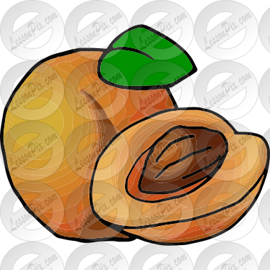 Apricot Picture