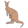 What+does+a+kangaroo+do_ Picture
