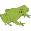 Amphibian Picture