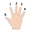 Five+Fingers Picture