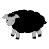 Black+Sheep_+Black+Sheep_+what+do+you+see_ Picture