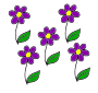 Flowers Picture