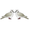 Two Turtle Doves Picture