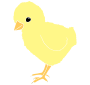 Chick Stencil