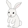 lapin Picture