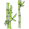 Bamboo+Forest Picture