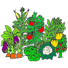 Vegetable+plants Picture