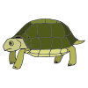 slow_++slow+turtle.%0D%0AI+see+a+slow+turtle. Picture