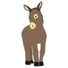 burro Picture