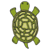 What+does+a+turtle+have+on+its+back_ Picture