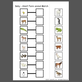 baby animals match th eanimal baby animals match th eanimal