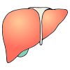 Liver Picture