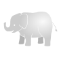 Elephant Stencil