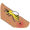 Bee Sting