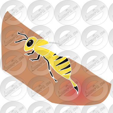 Bee Sting