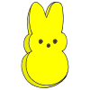 Candy Bunny