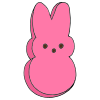 Bunny+%233 Picture