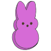 Bunny+%234 Picture