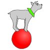 Dog Tricks