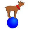Dog Tricks