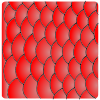 Scales