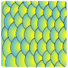 Scales