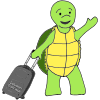Solutions Turtle Picture