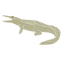 Crocodile Stencil