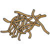 Chow Mein