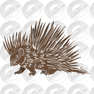 Porcupine