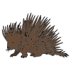 Porcupine Picture