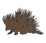 Porcupine