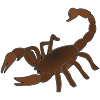 Scorpion Picture