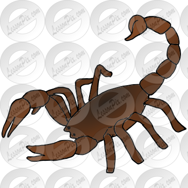 Scorpion