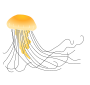 Jellyfish