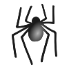 Spider Picture