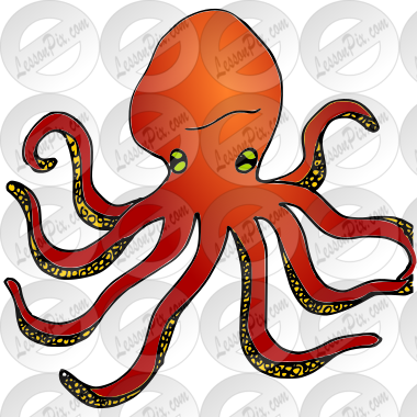 Octopus Picture